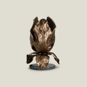 Flos Brass Metal Table Lamp Small