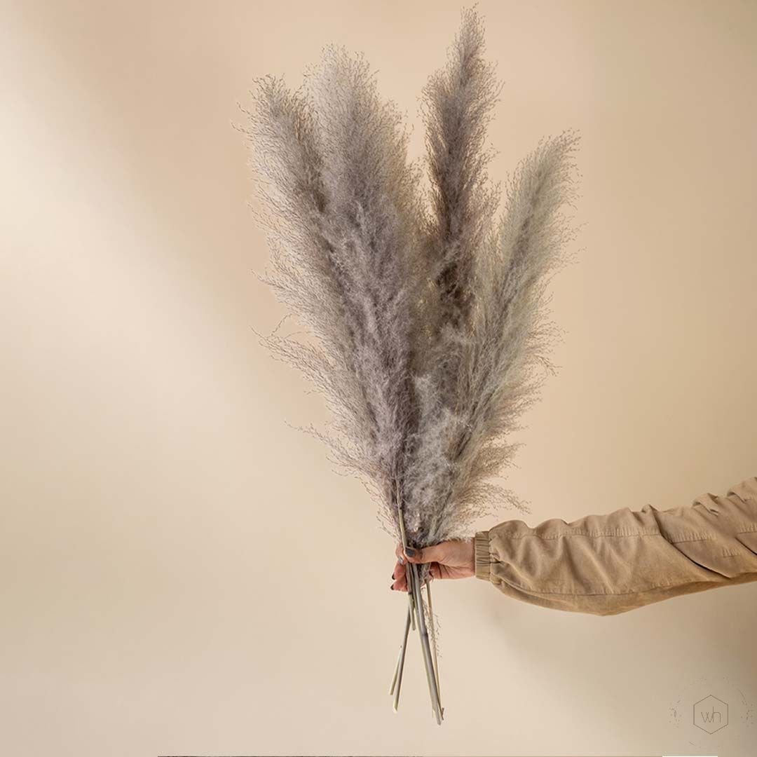 Medium Pampas Grass - Light Grey - Image 2