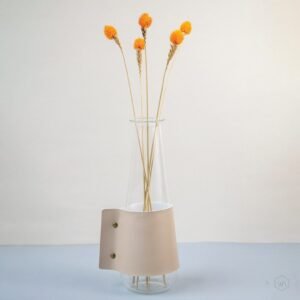 Strawberry Fruit - Orange